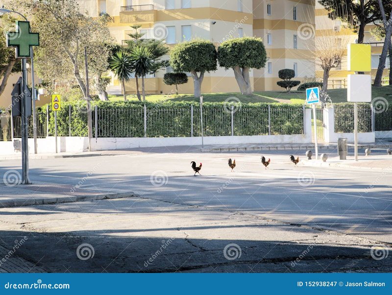 Descubre el Juego Adictivo de la Ruta de la Gallina en España Online